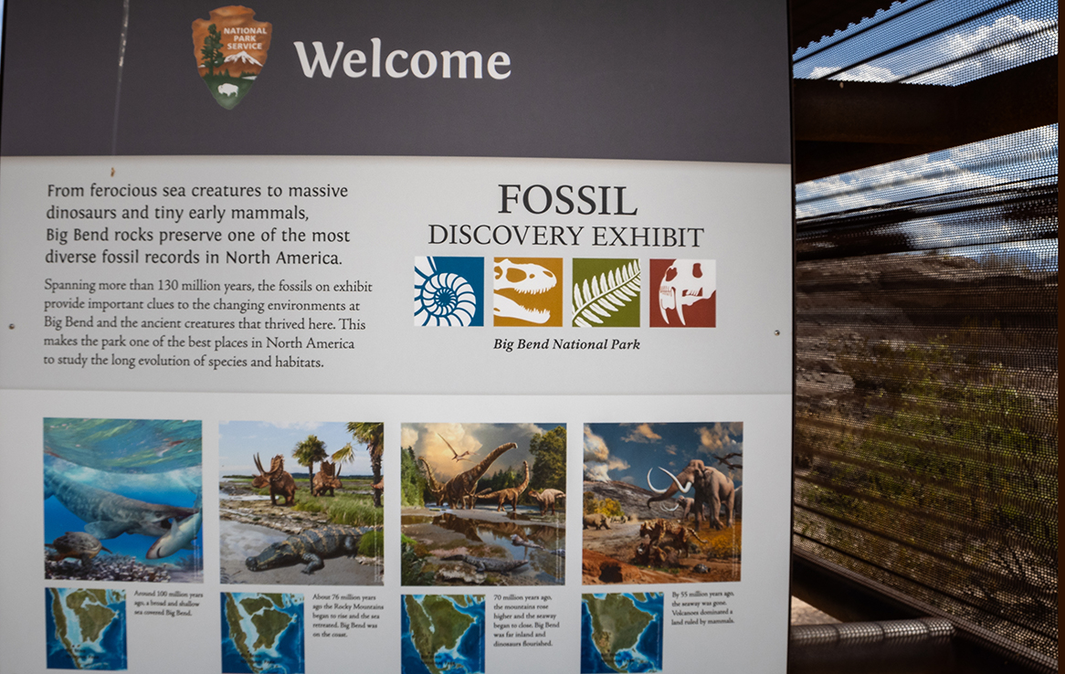 Big Bend National Park - Fossil Discovery Exhibit