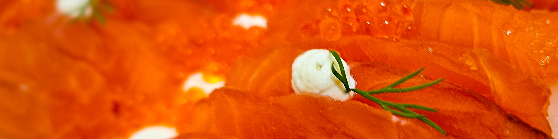Lachs auf Rettich