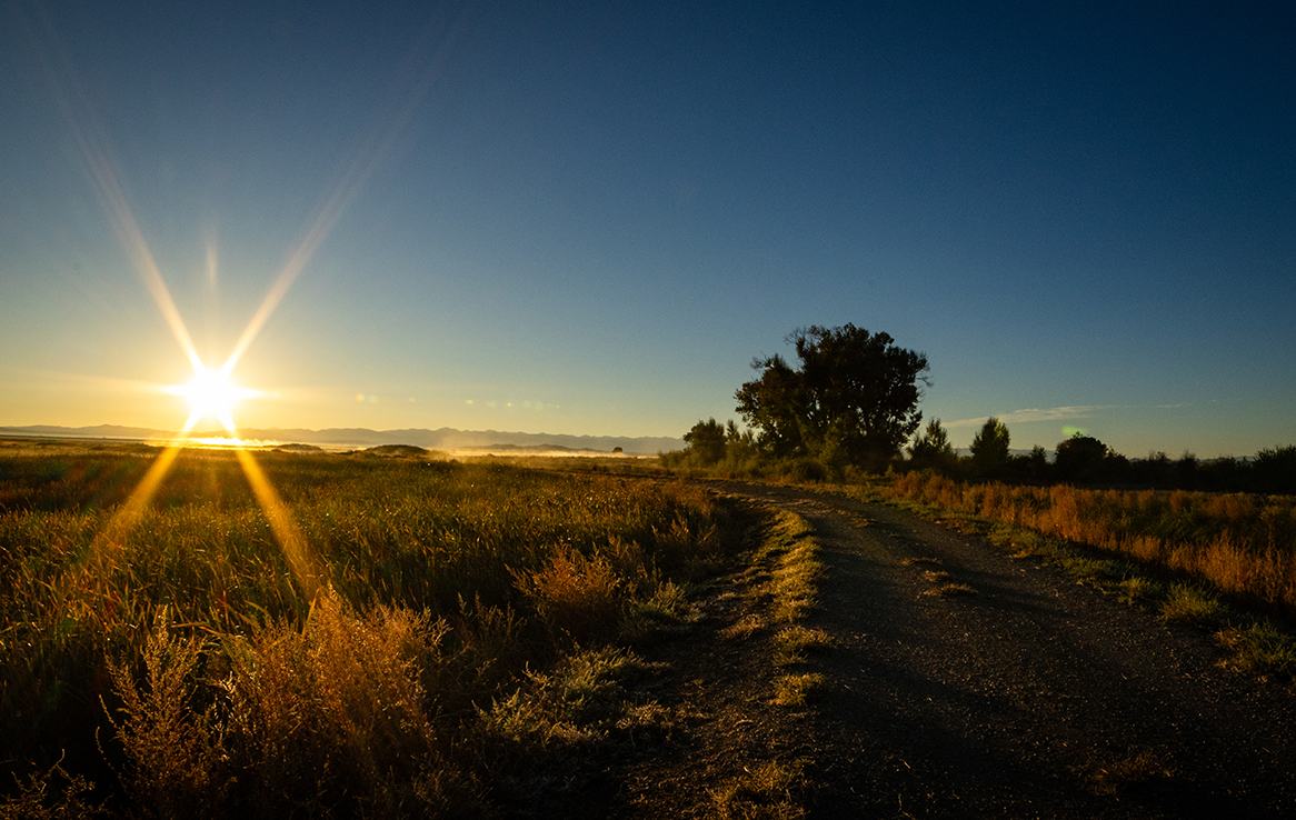 Alamosa National Wildlife Refuge