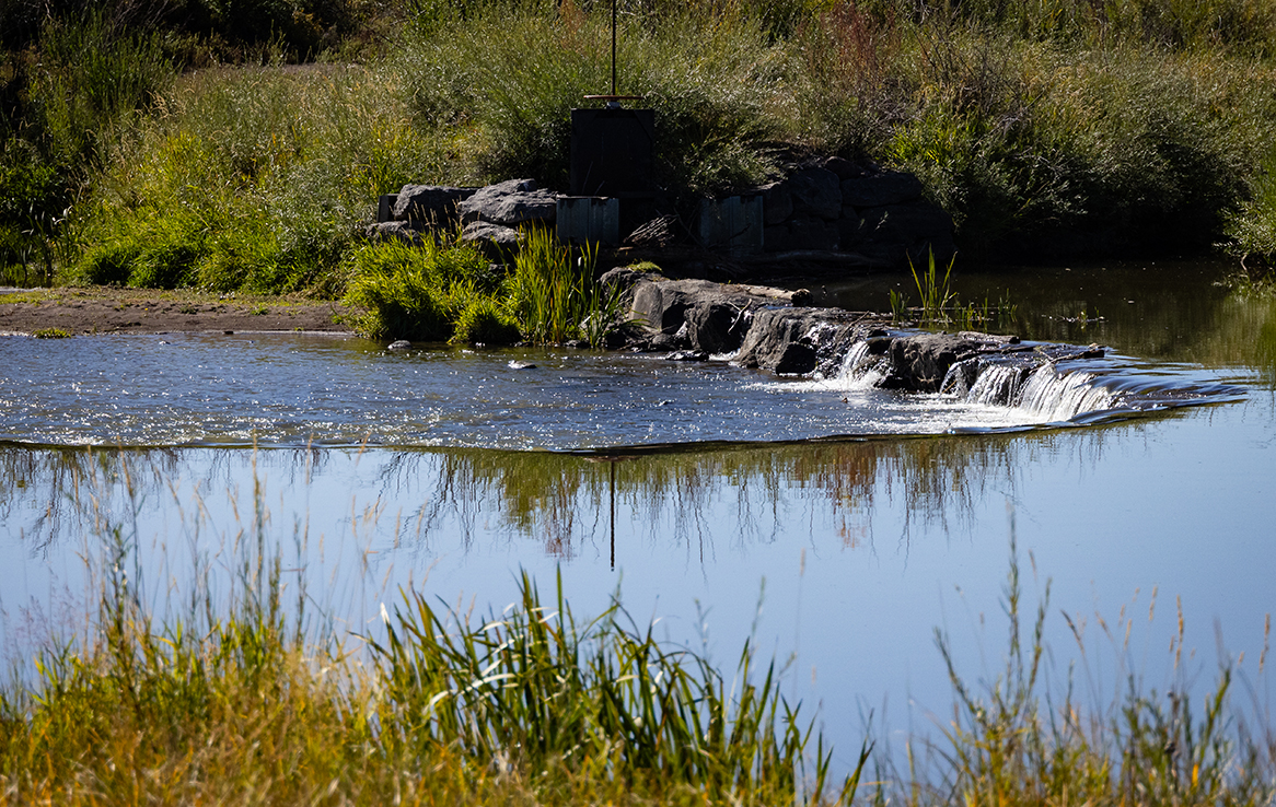Alamosa National Wildlife Refuge
