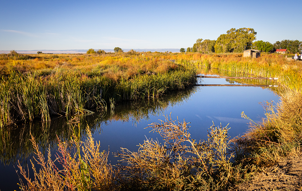 Alamosa National Wildlife Refuge
