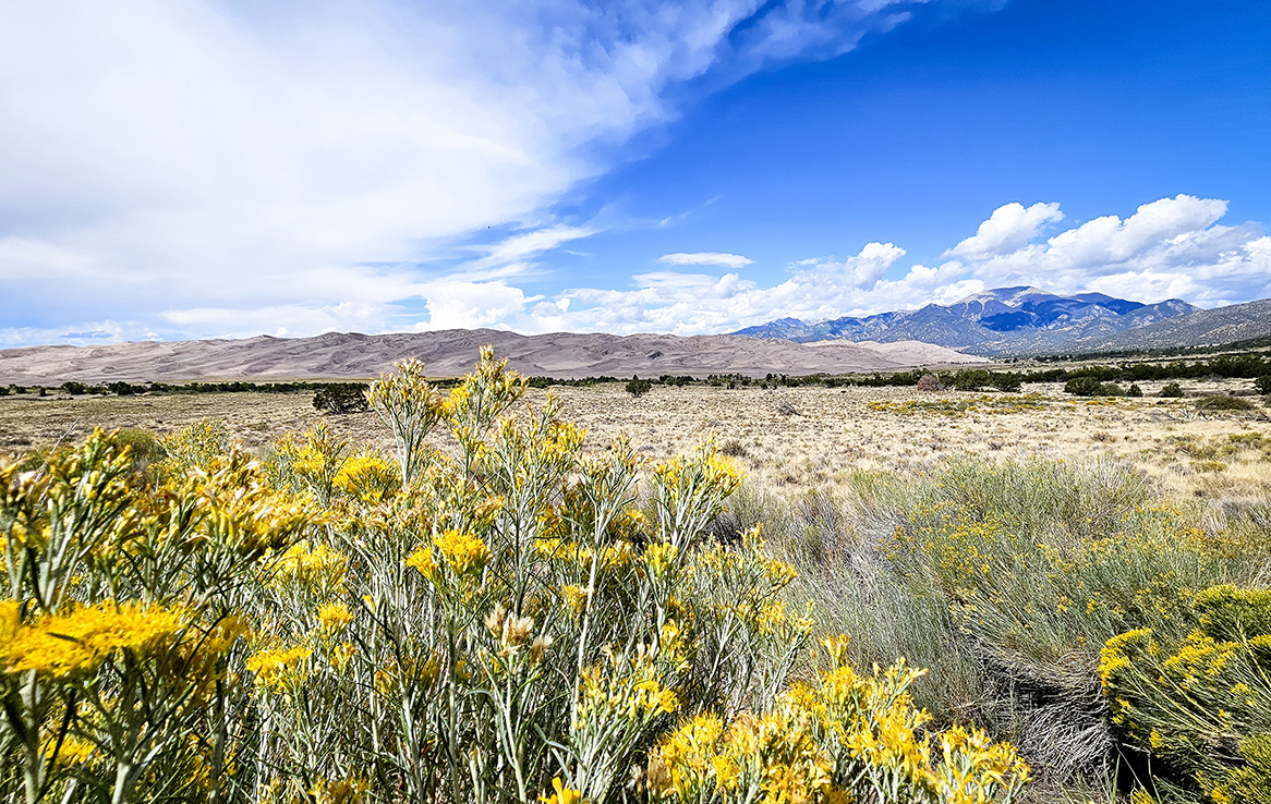 Great Sand Dunes National Park