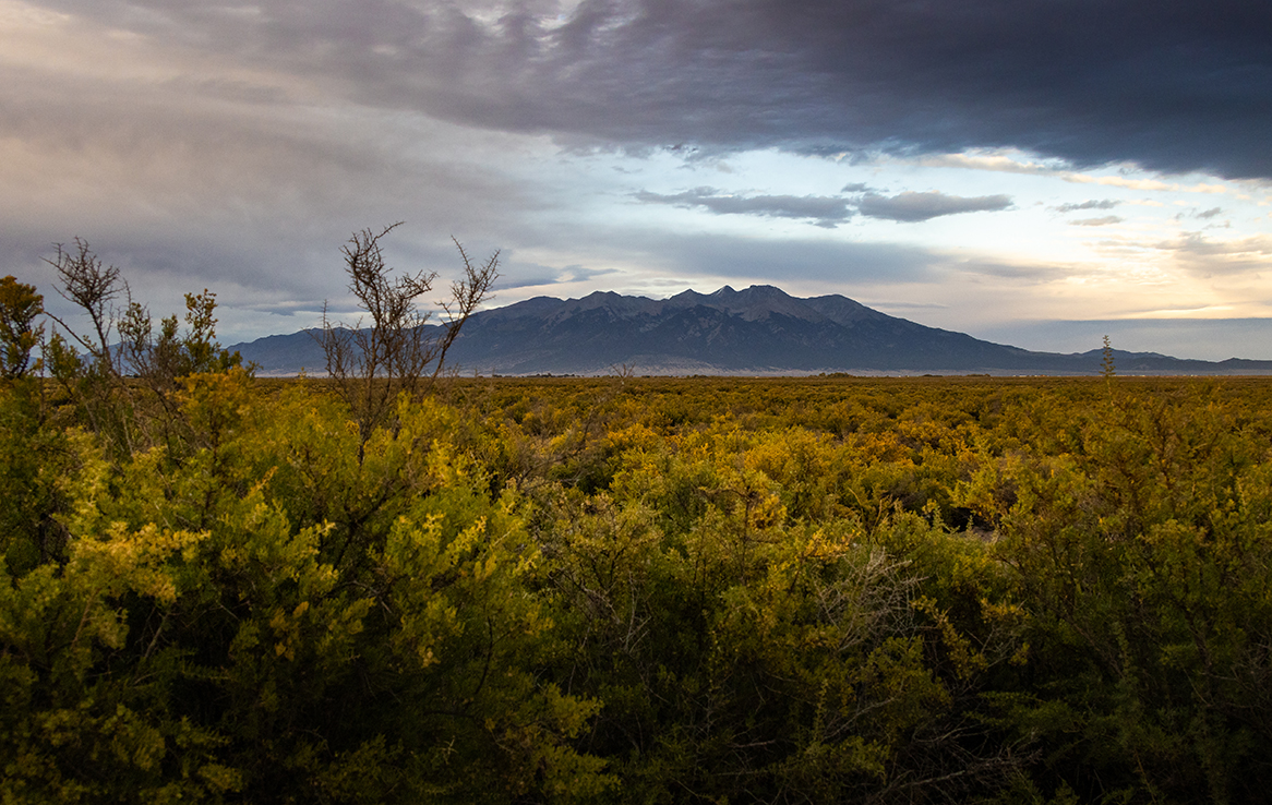 Alamosa National Wildlife Refuge