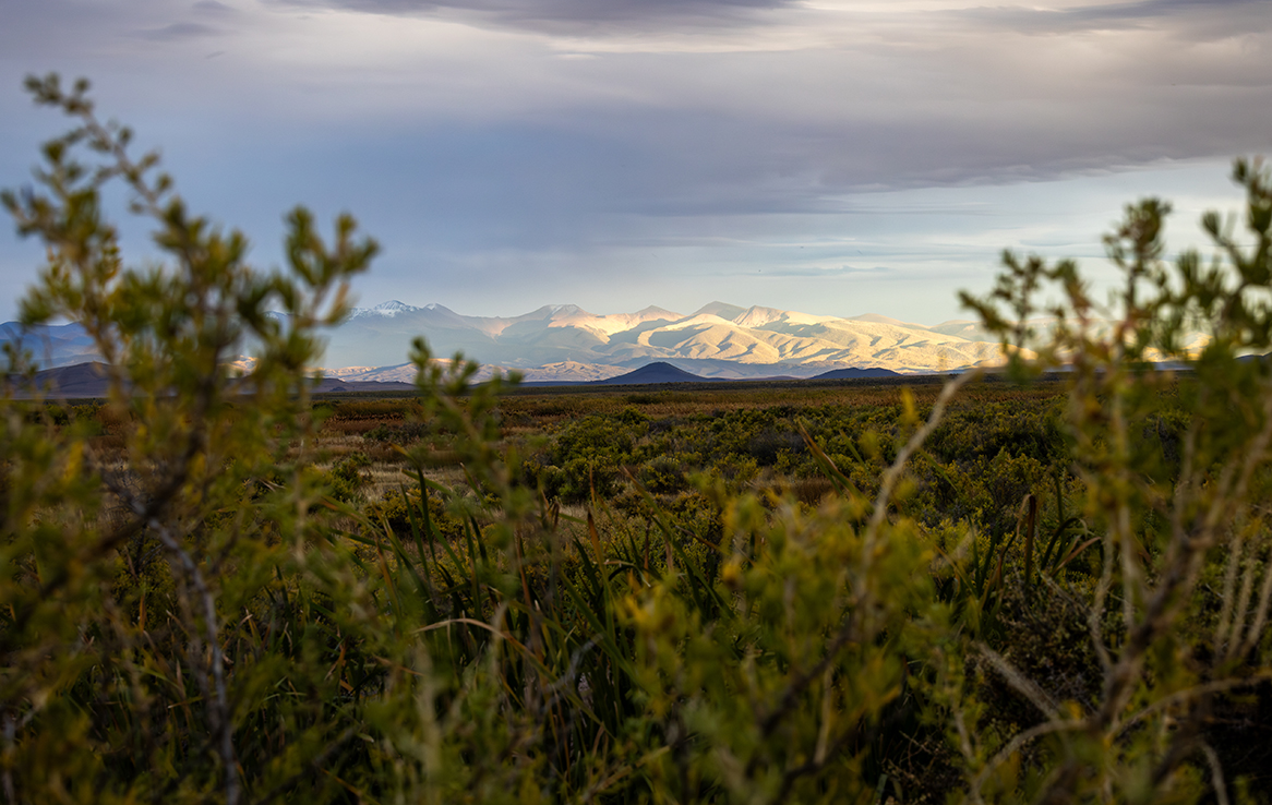 Alamosa National Wildlife Refuge