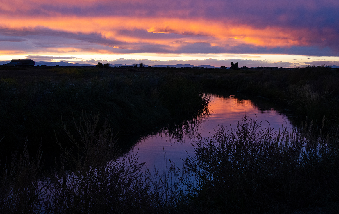 Alamosa National Wildlife Refuge