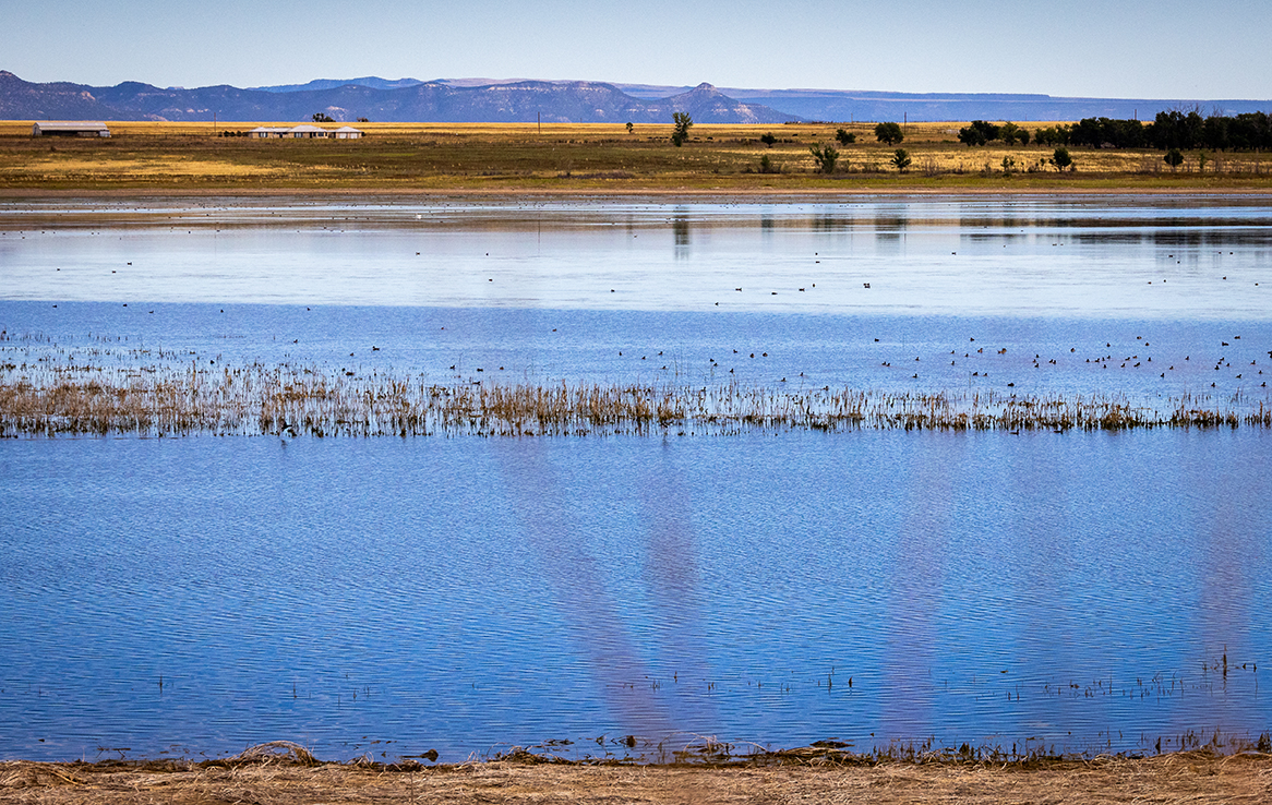 Maxwell National Wildlife Refuge
