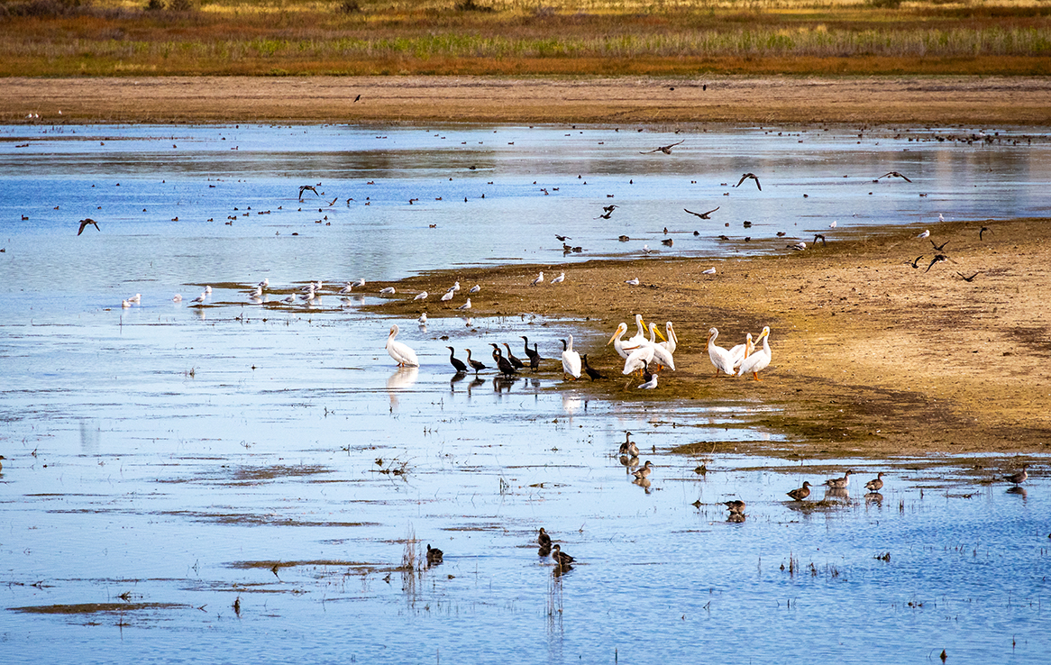 Maxwell National Wildlife Refuge