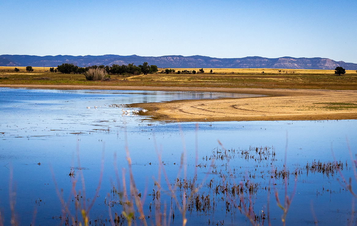 Maxwell National Wildlife Refuge