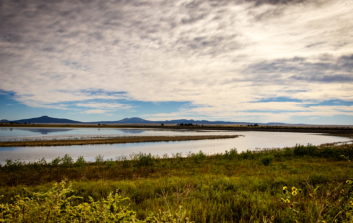 Maxwell National Wildlife Refuge