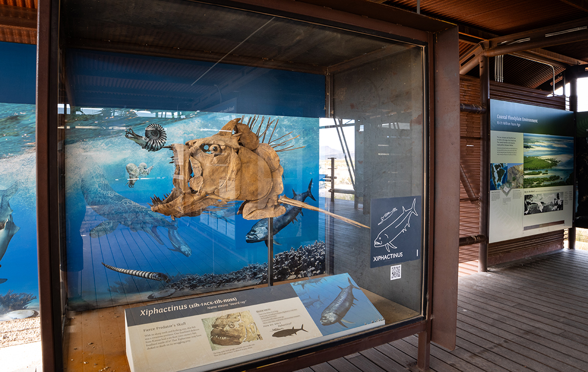 Big Bend National Park - Fossil Discovery Exhibit