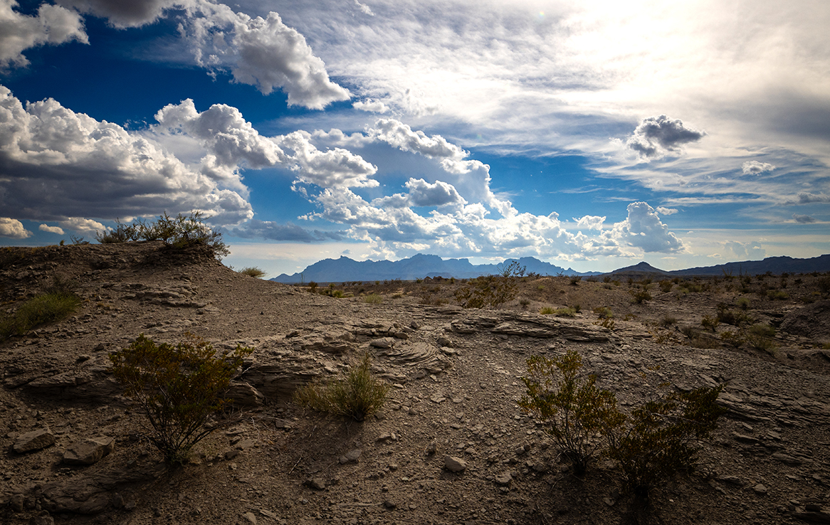 Big Bend National Park - Fossil Discovery Exhibit