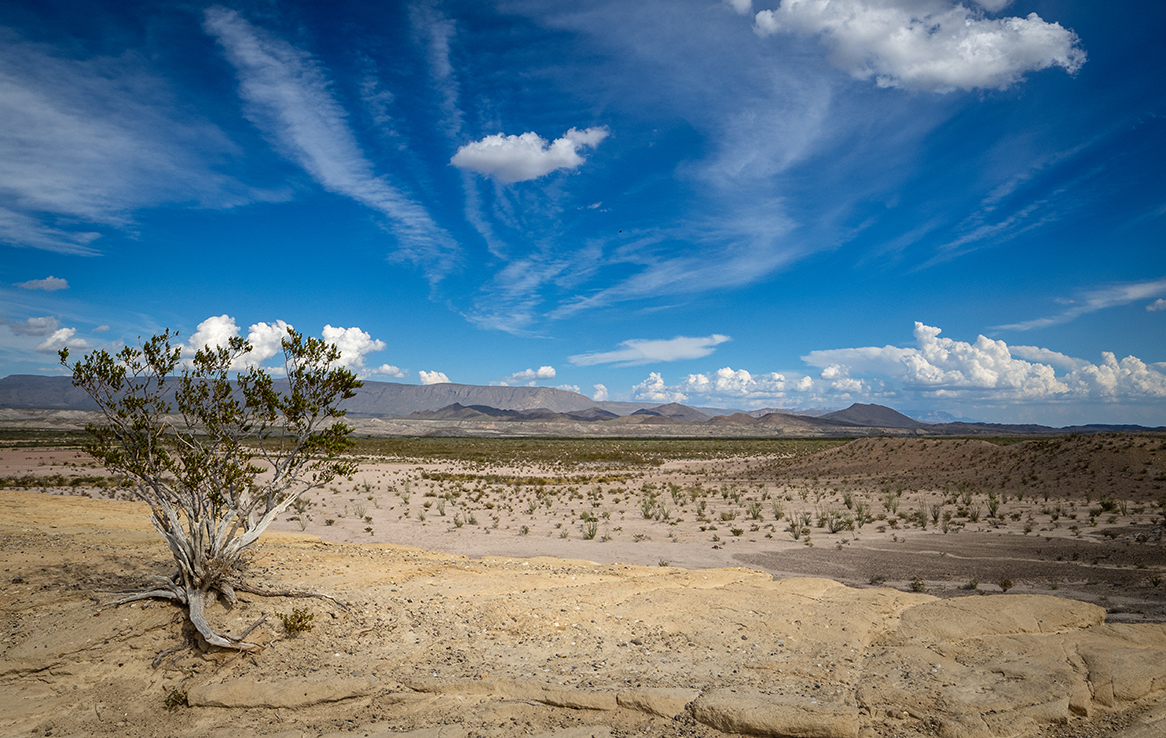 Big Bend National Park - Fossil Discovery Exhibit