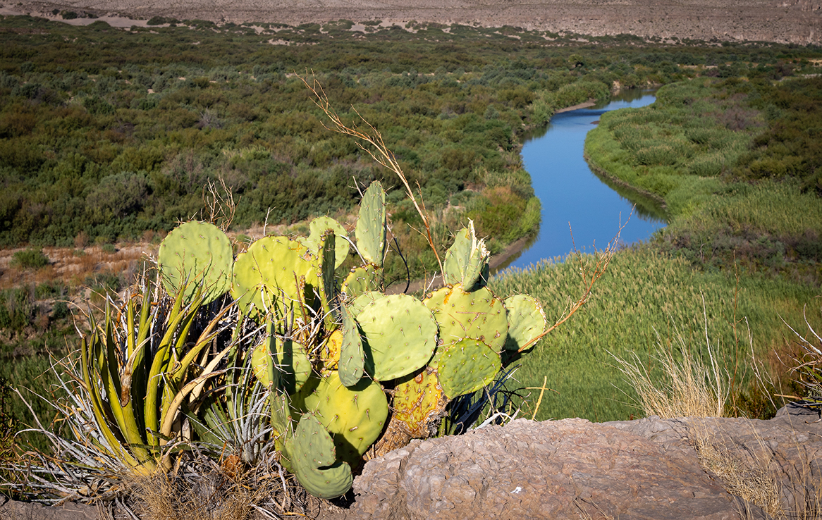 Big Bend National Park - Rio Grande Village Nature Trail