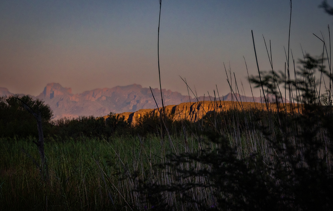 Big Bend National Park - Rio Grande Village Nature Trail