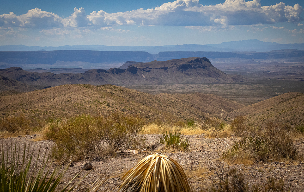 Big Bend National Park