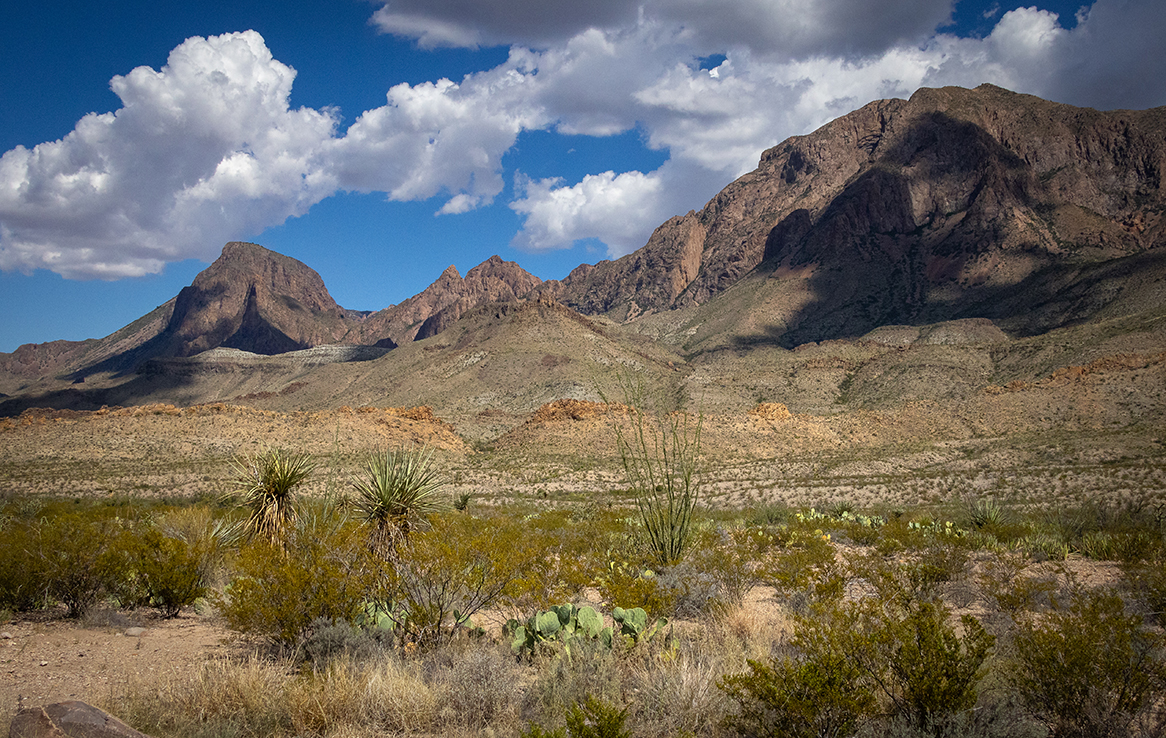 Big Bend National Park