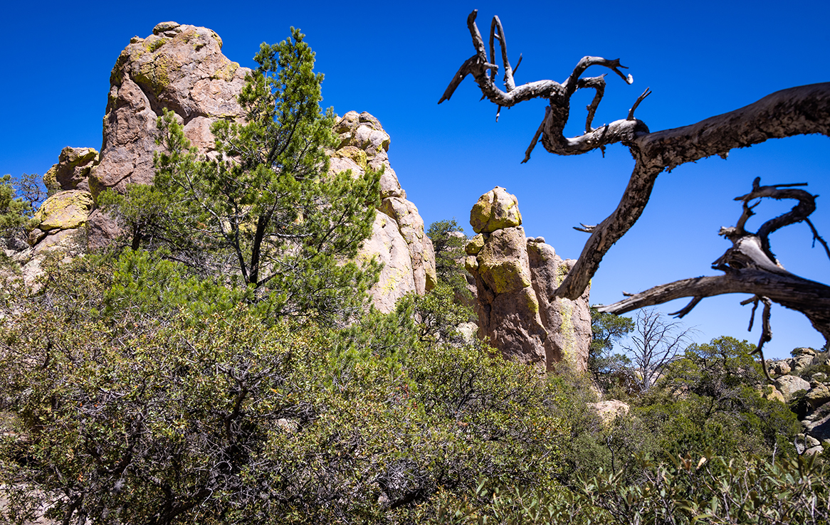 Chiricahua National Monument