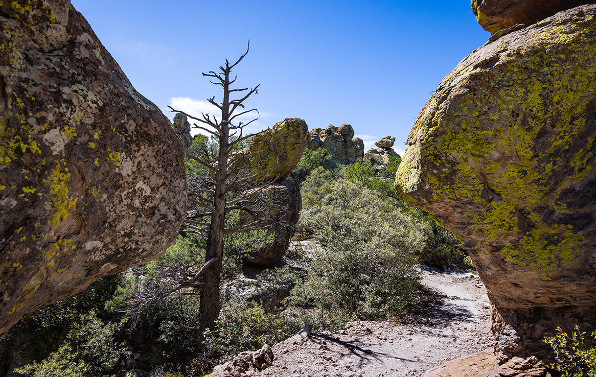 Chiricahua National Monument