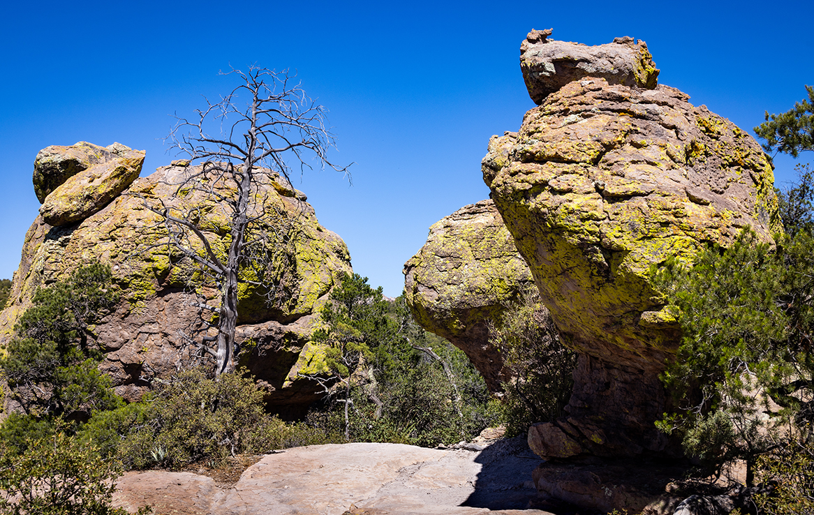 Chiricahua National Monument