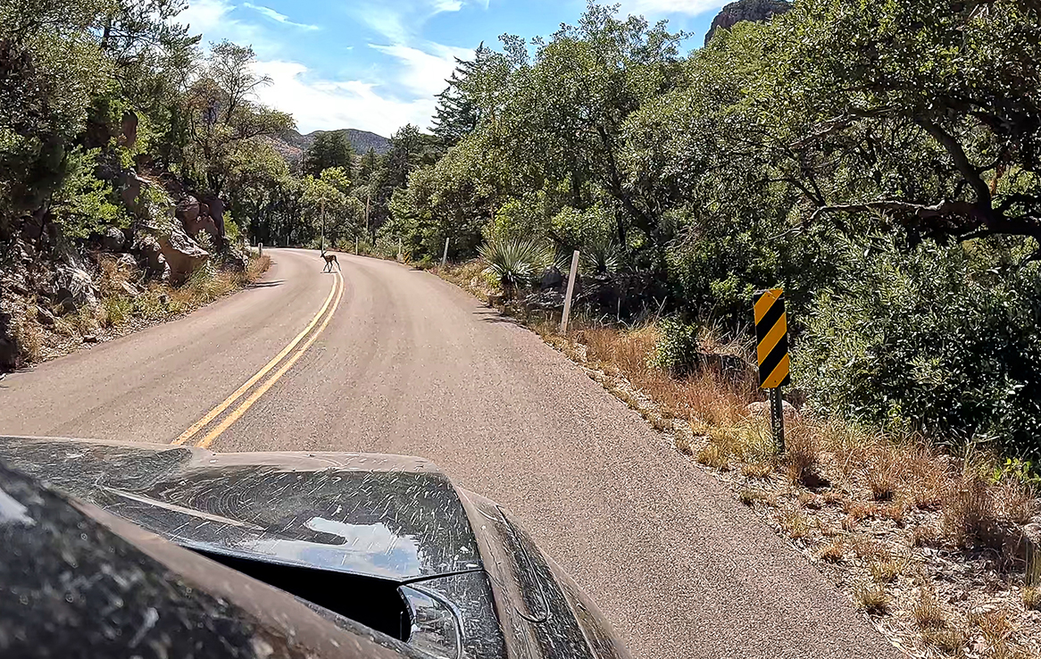 Chiricahua National Monument