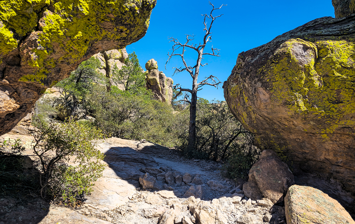 Chiricahua National Monument