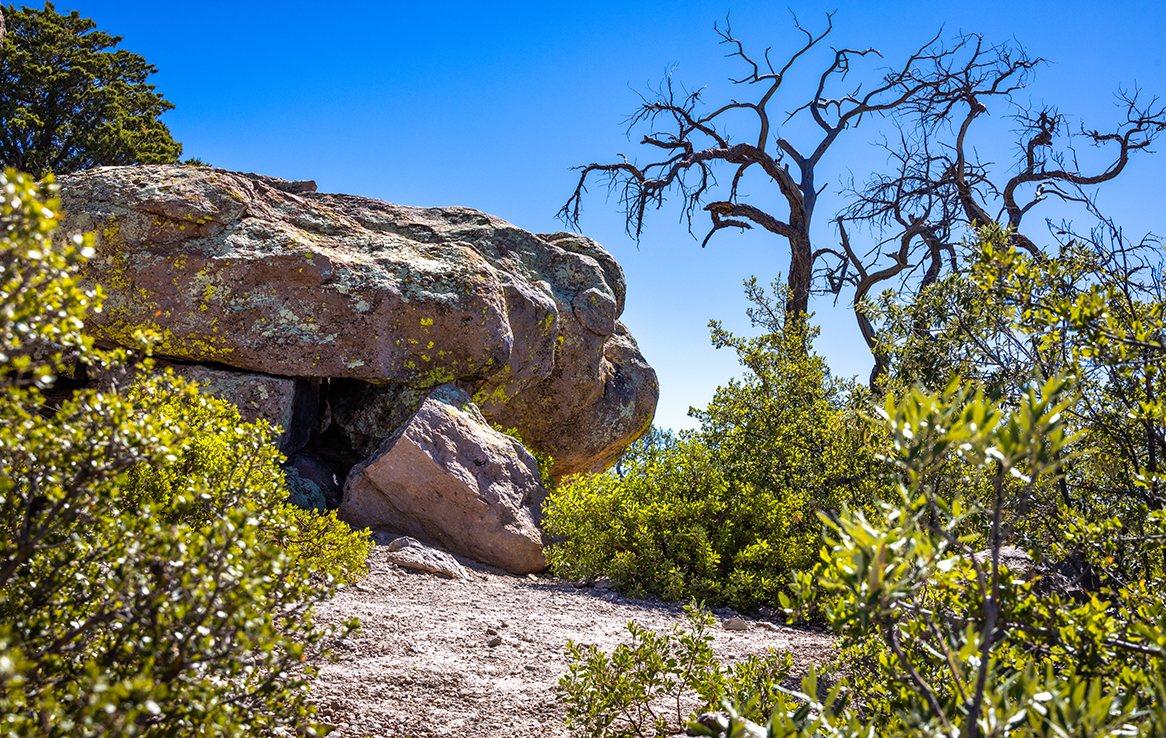 Chiricahua National Monument