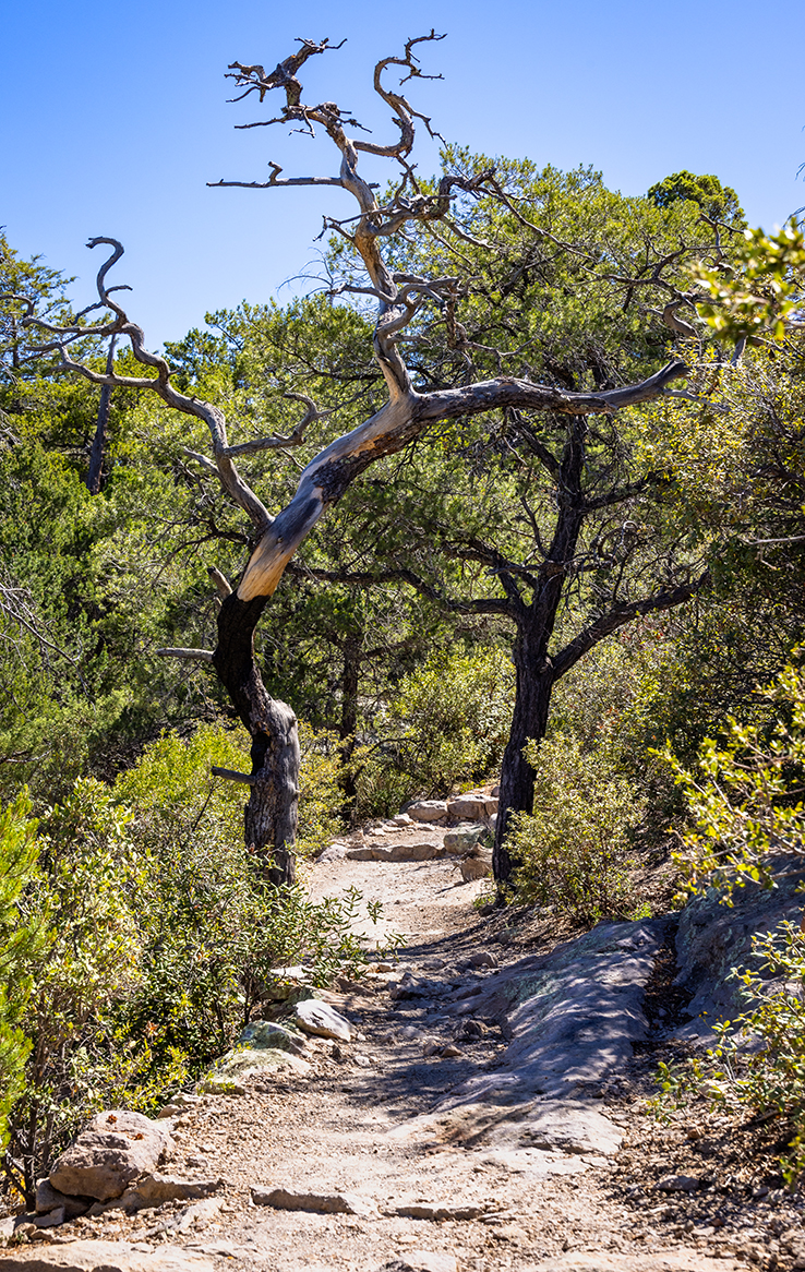 Chiricahua National Monument