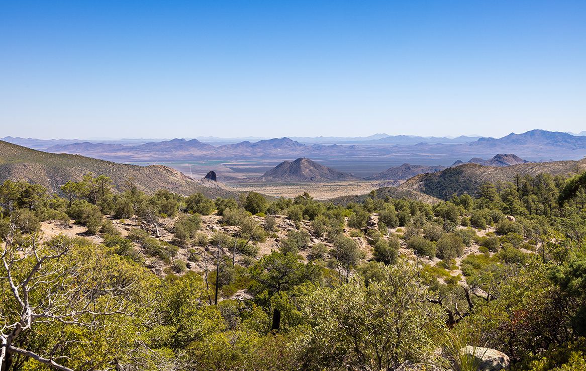 Chiricahua National Monument