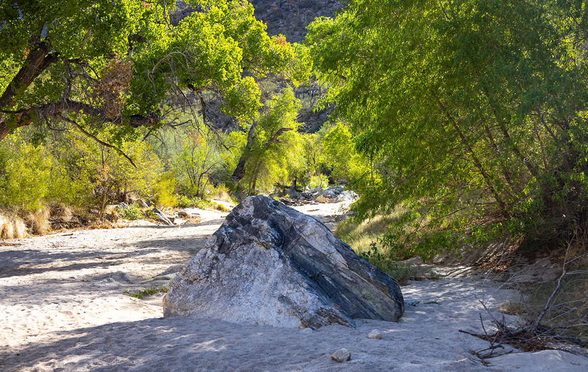 Sabino Canyon