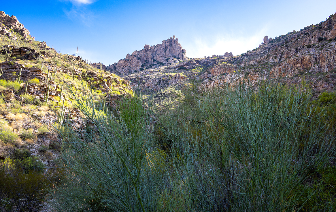 Sabino Canyon