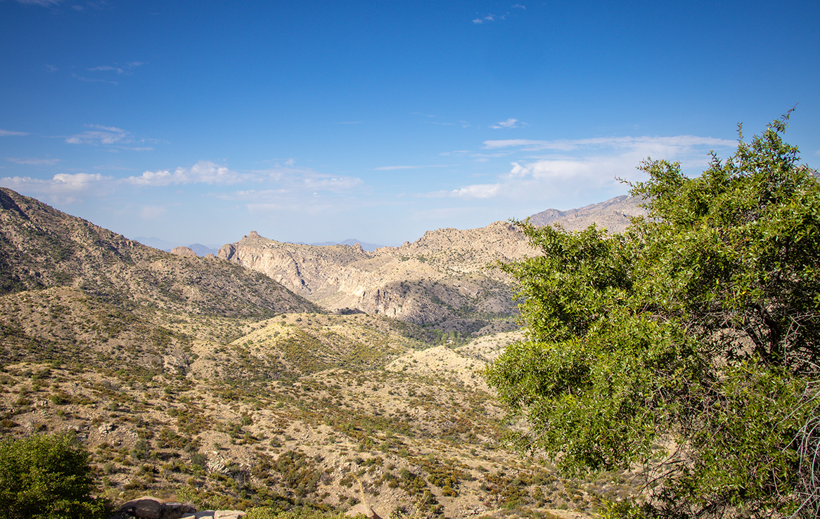 Mount Lemmon Highway