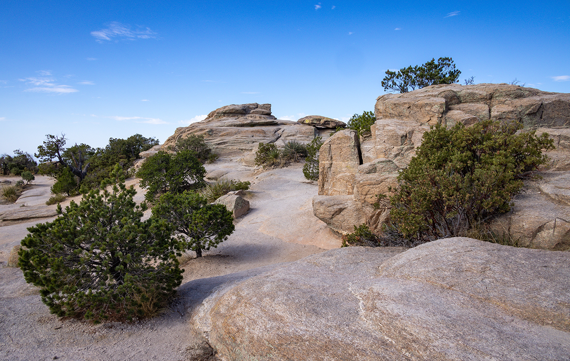 Mount Lemmon Highway