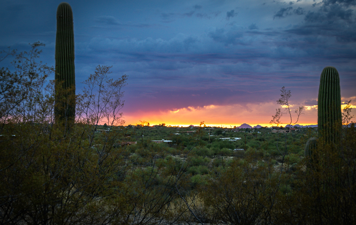 Saguaro National Park Ost