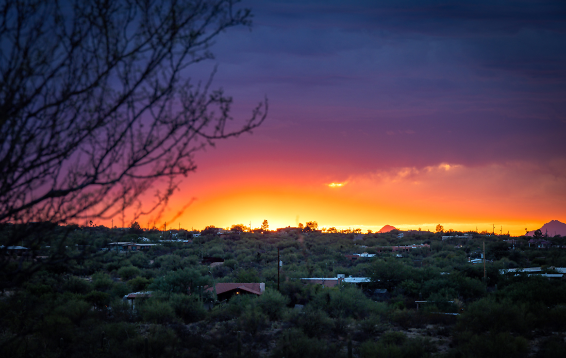 Saguaro National Park Ost