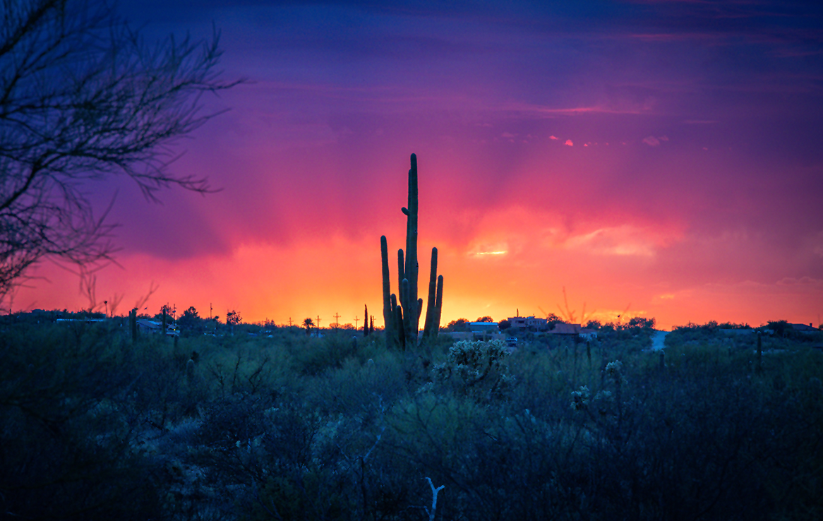 Saguaro National Park Ost