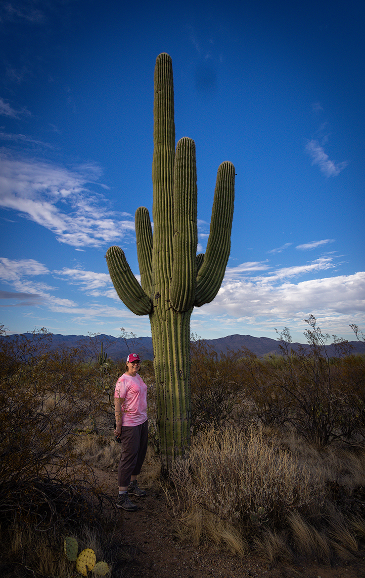 Saguaro National Park Ost