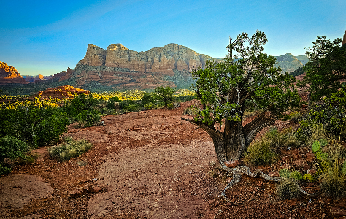 Bell Rock Sedona