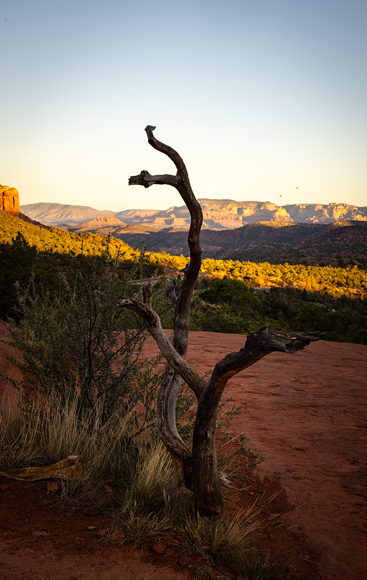 Bell Rock Sedona