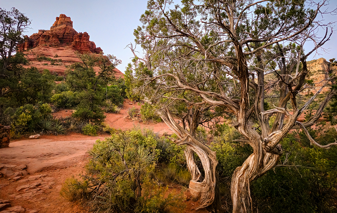 Bell Rock Sedona