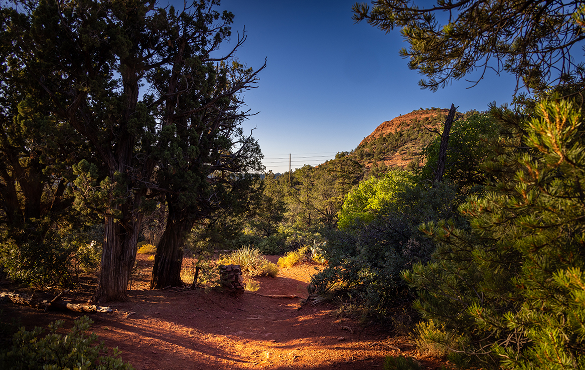 Sugarloaf Trail