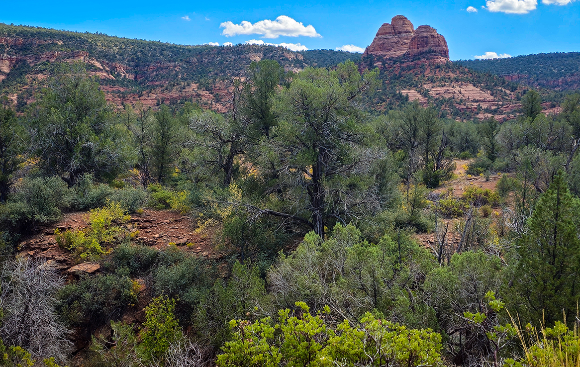 Red Rock State Park Sedona