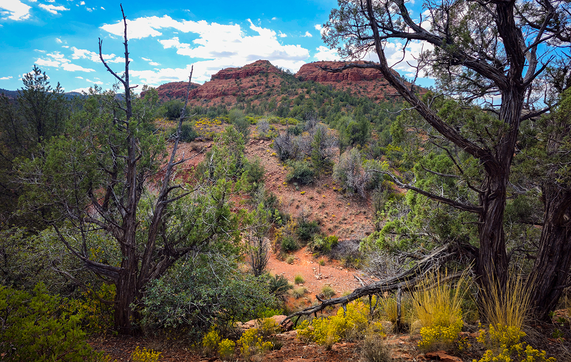 Red Rock State Park Sedona
