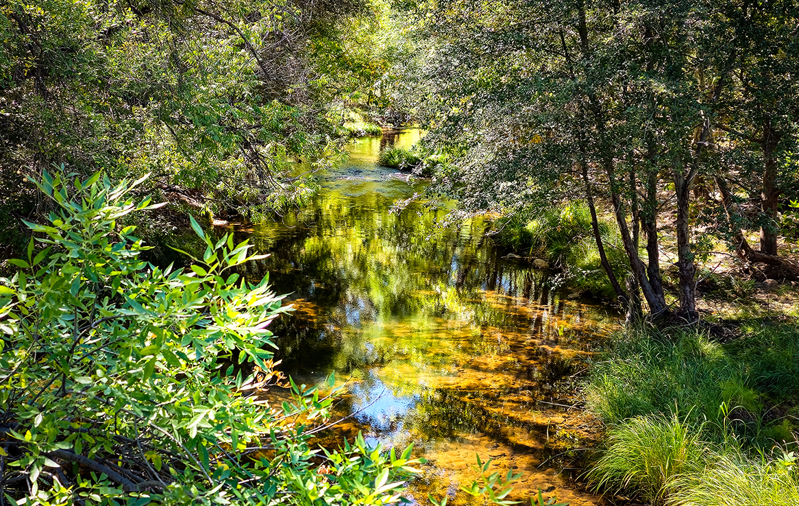 Red Rock State Park Sedona