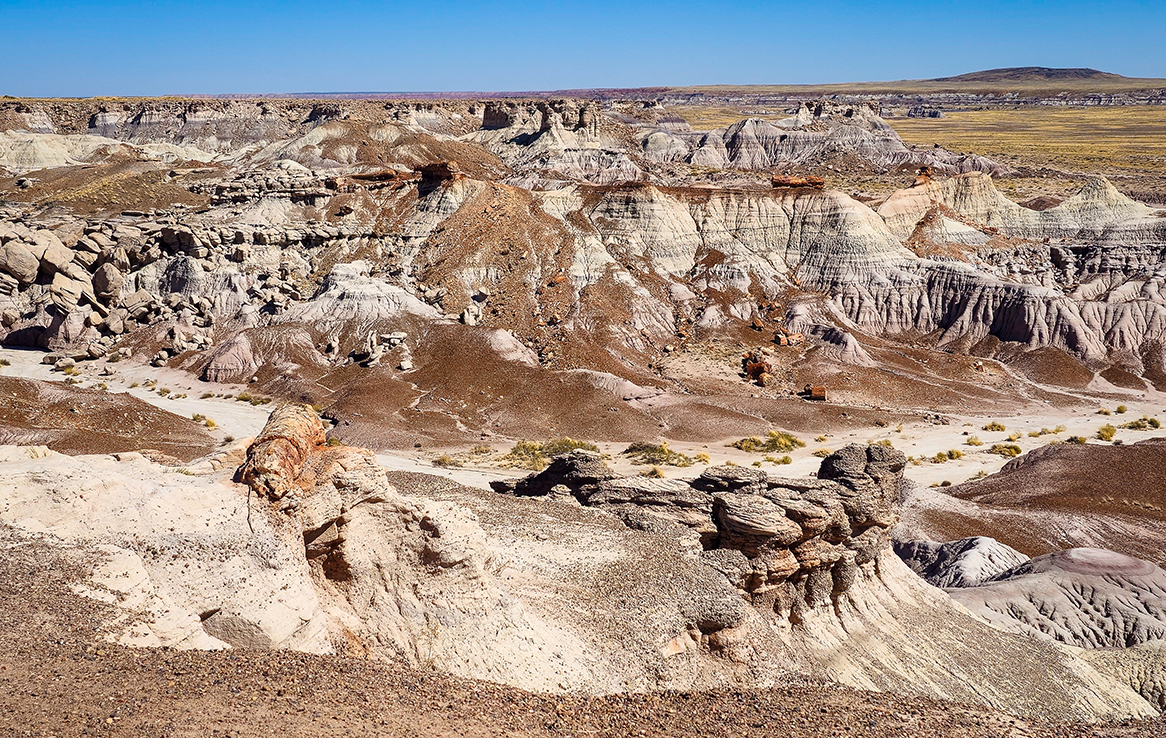 Petrified Forest National Park