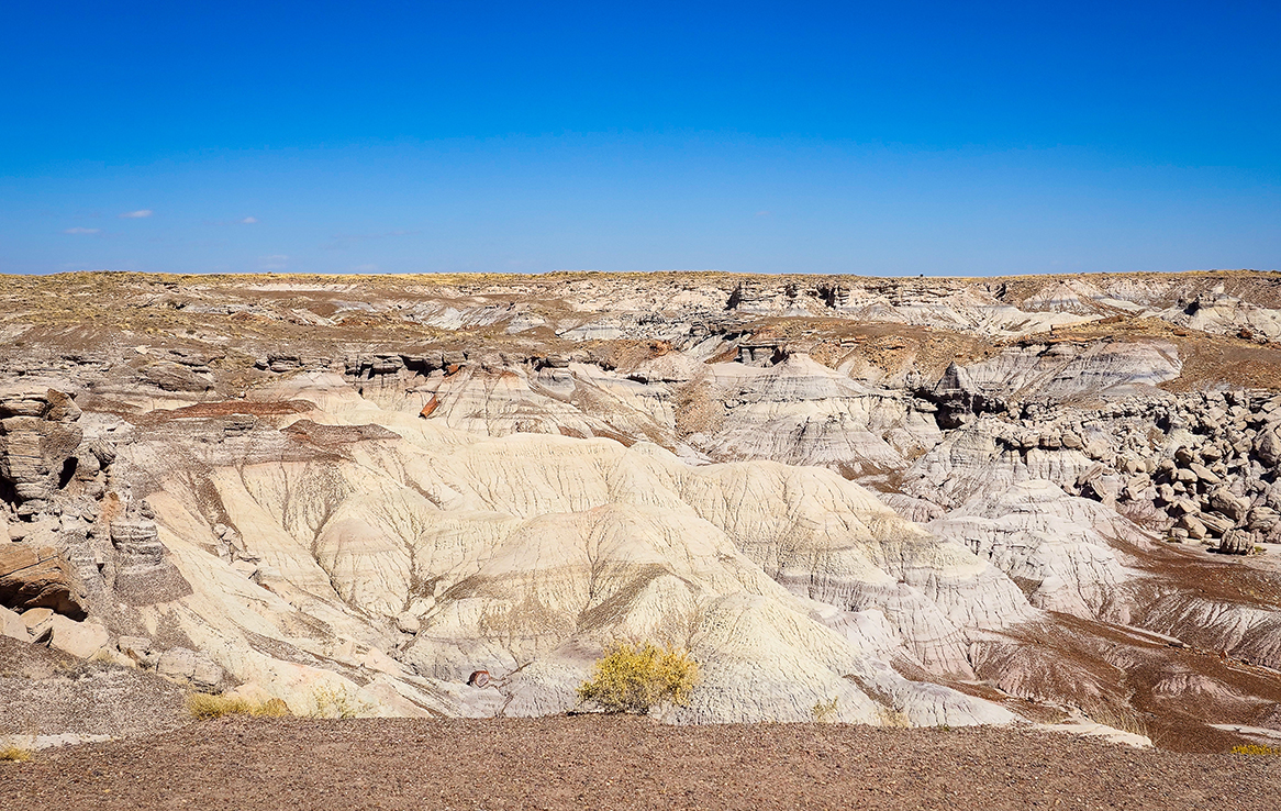 Petrified Forest National Park