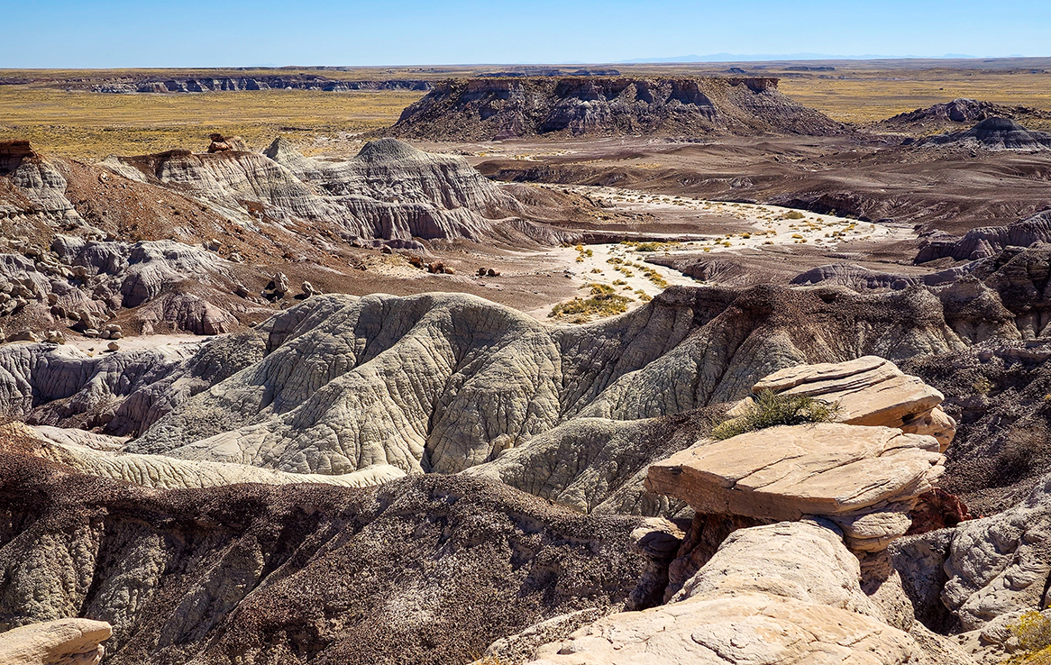 Petrified Forest National Park