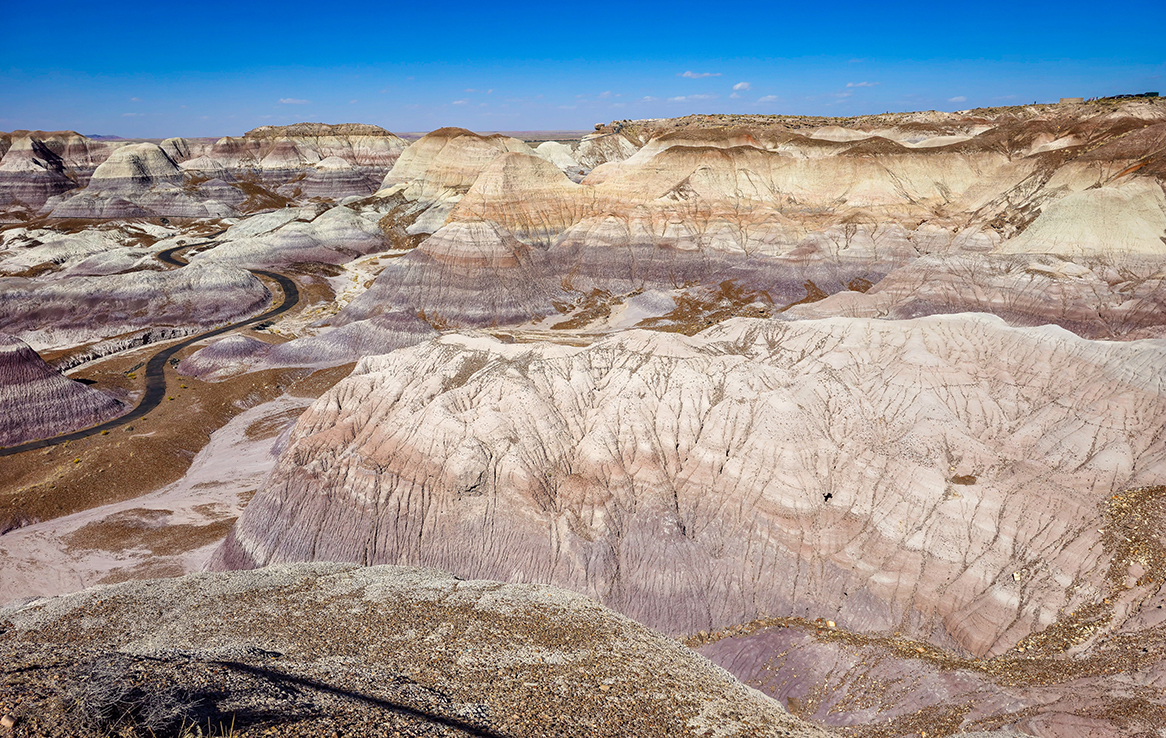 Petrified Forest National Park