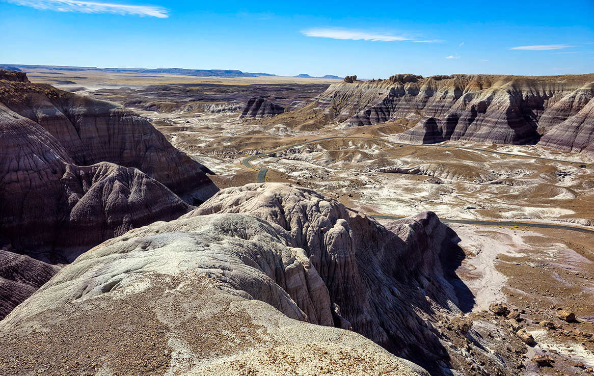 Petrified Forest National Park