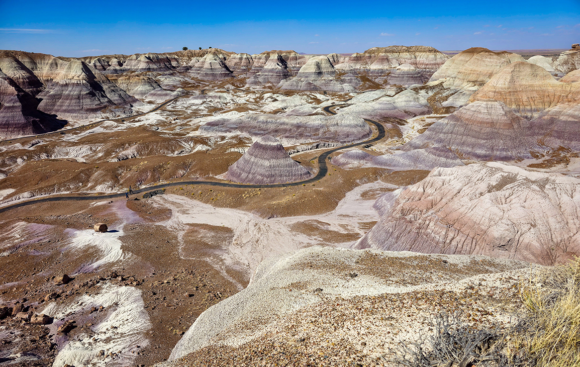 Petrified Forest National Park