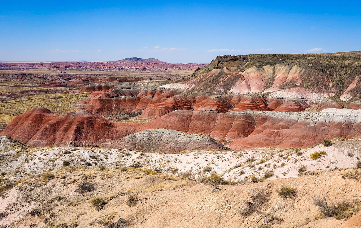 Petrified Forest National Park